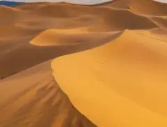 desert