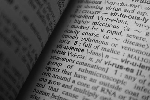 literal translation vs conveying the sense