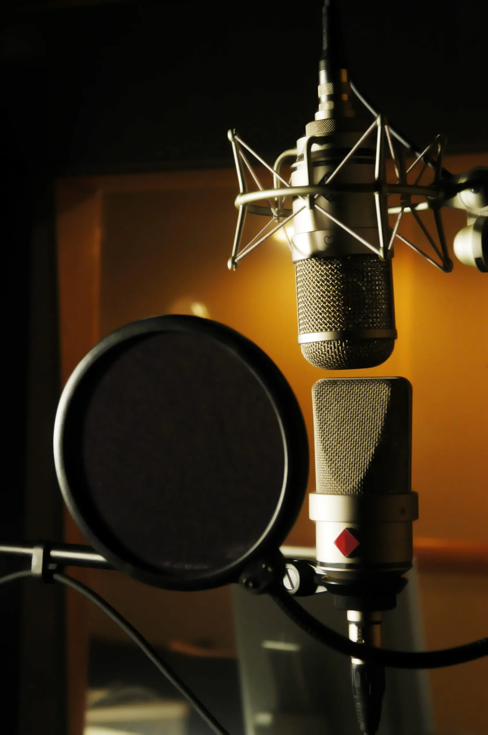 MICS IN STUDIO shutterstock_8671279